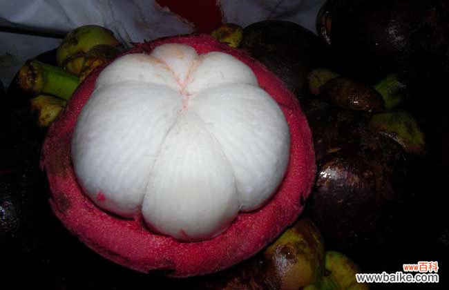 山竹保存温度是多少度 山竹可以放冰箱保存吗？