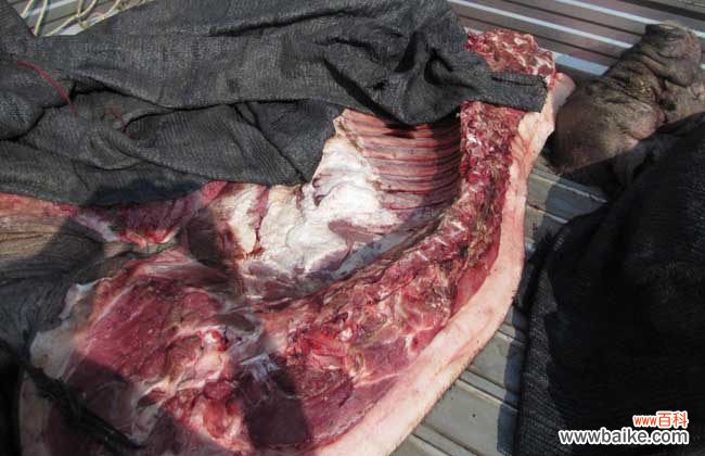 怎样鉴别病死猪肉？