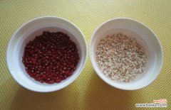 薏米和什么一起煮粥最好？