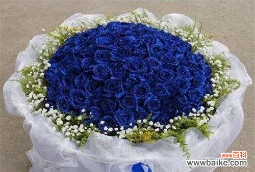 探秘蓝色妖姬的含义及其与鲜花之间的联系 蓝色妖姬