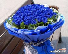 揭开蓝色妖姬代表的深意与象征 蓝色妖姬花语之美丽与神秘