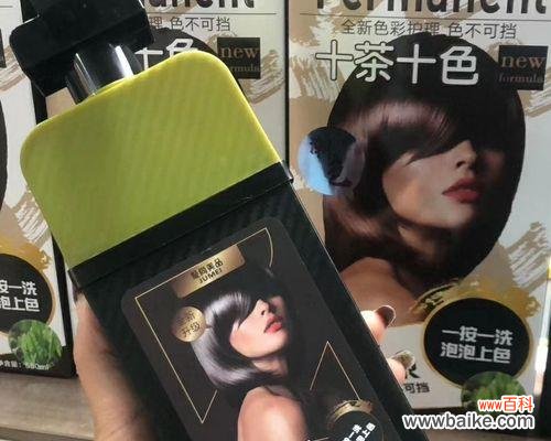 象征黑暗的植物有哪些?它们的神秘特性是什么?