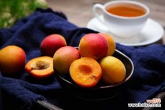 杏树的病虫害及其防治