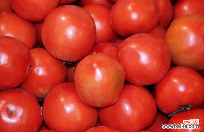 西红柿做面膜的危害 番茄面膜的做法