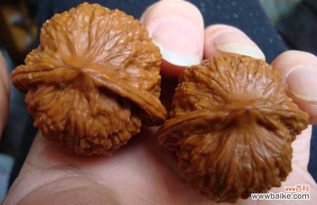 文玩核桃50种大全 文玩核桃是什么东西?