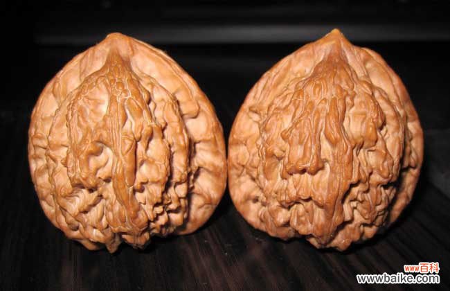 文玩核桃50种大全 文玩核桃是什么东西?
