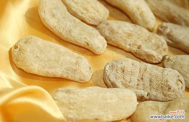 天麻的副作用太大了 天麻可以泡水喝吗？