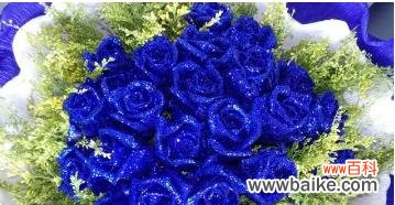 探秘蓝色妖姬玫瑰花背后的神秘花语 蓝色妖姬玫瑰花的花语