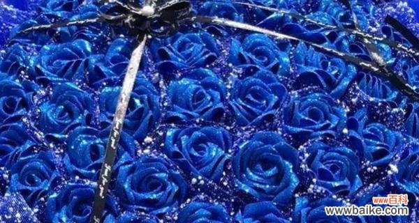 探秘蓝色妖姬玫瑰花背后的神秘花语 蓝色妖姬玫瑰花的花语