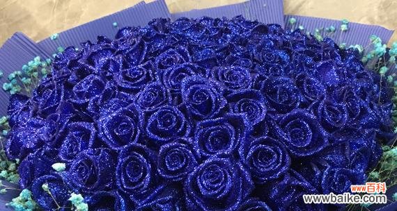 探索蓝色妖姬的象征和内涵 深入解读“以蓝色妖姬”之意义