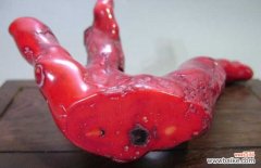 红珊瑚怎样恢复光泽 红珊瑚的保养方法
