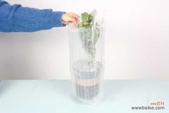 茶花刚上盆就掉叶子怎么回事