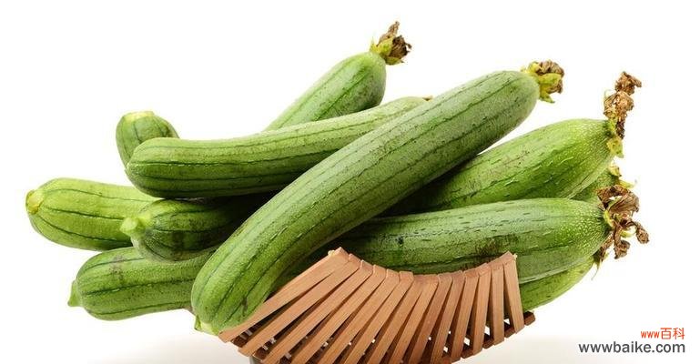 不同季节的养殖技巧,掌握这些就可以轻松种好丝爪 如何种植丝爪?