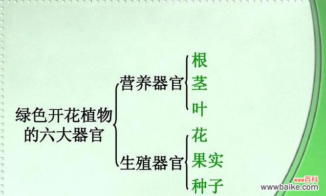 探究植物生命力的秘密 种子繁殖的植物