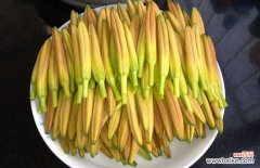 新鲜黄花菜如何蒸制 鲜黄花菜怎么处理？