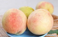 水蜜桃怎么保存不会变软 水蜜桃怎么保存才好？