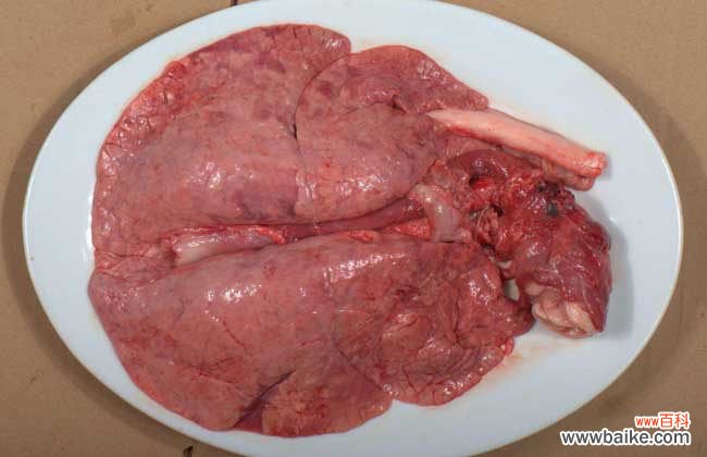 怎样洗猪肺又快又干净 猪肺怎么洗才干净？