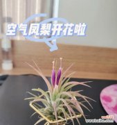 只需要轻松管理，轻松打造温馨家居 只需要轻松管理，轻松打造温馨家居