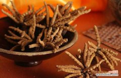 化疗后虫草一次吃几根 冬虫夏草一天吃几根？