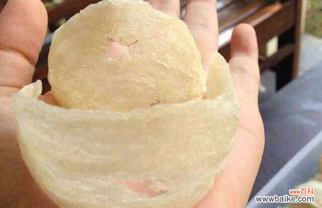 燕窝是涨奶的还是回奶的 坐月子可以吃燕窝吗？