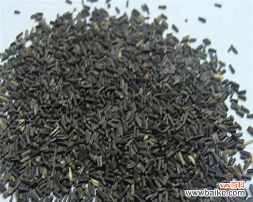 学会菊花种子催芽,让花园更美丽 菊花种子催芽方法