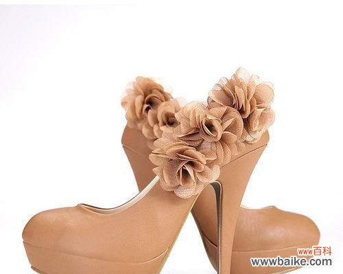 揭开洛丽玛丝玫瑰花语的美丽面纱 洛丽玛丝玫瑰花语的奥秘