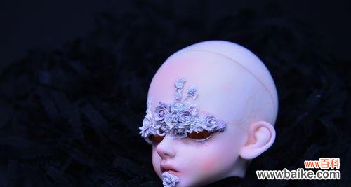 揭开洛丽玛丝玫瑰花语的美丽面纱 洛丽玛丝玫瑰花语的奥秘