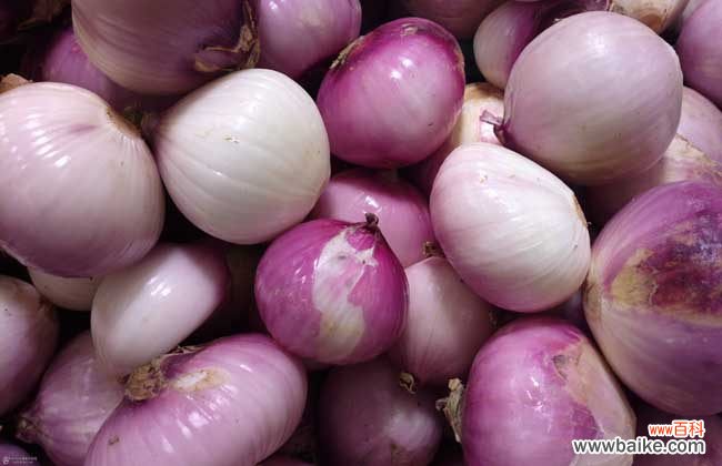 甲醛最怕三个克星 洋葱可以去除甲醛吗?