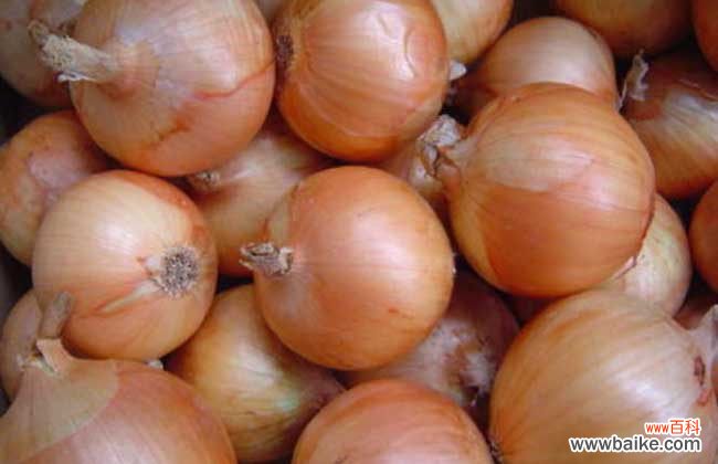 甲醛最怕三个克星 洋葱可以去除甲醛吗?