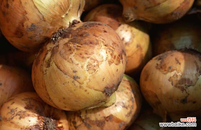 甲醛最怕三个克星 洋葱可以去除甲醛吗?