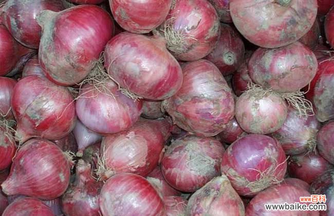 甲醛最怕三个克星 洋葱可以去除甲醛吗?