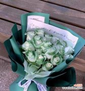 探寻绿玫瑰的神秘内涵 绿玫瑰的真正花语是什么