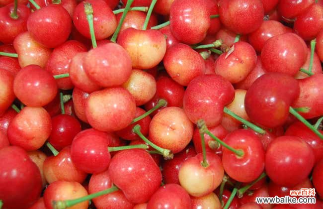 樱桃果汁怎么洗干净 樱桃汁怎么洗干净？