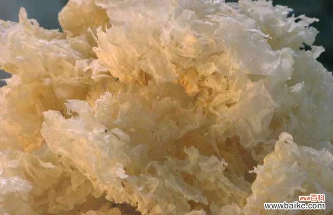 银耳美容去皱方法 银耳可以祛斑吗？