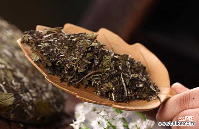 福鼎白茶的饮用方法 老白茶的冲泡方法