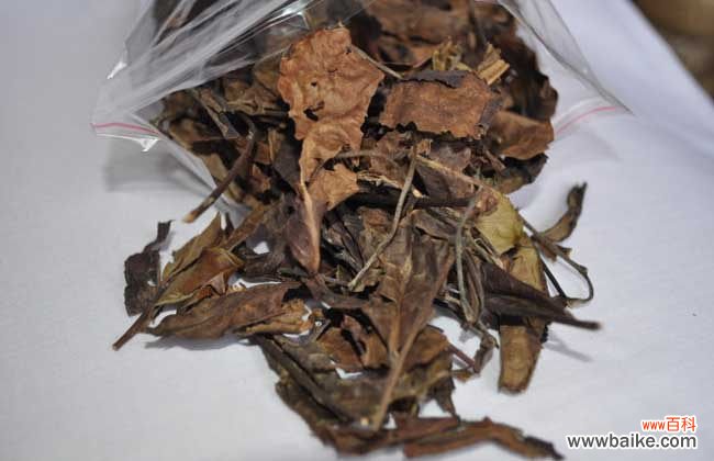 福鼎白茶的饮用方法 老白茶的冲泡方法