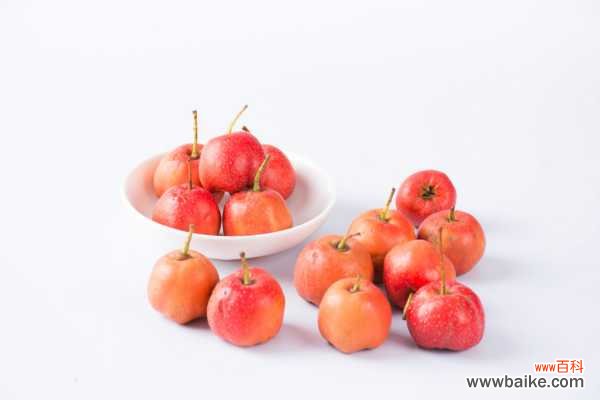 山楂的病虫害防治