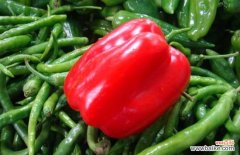 辣椒辣手属于几级痛 辣椒辣手最有效的方法