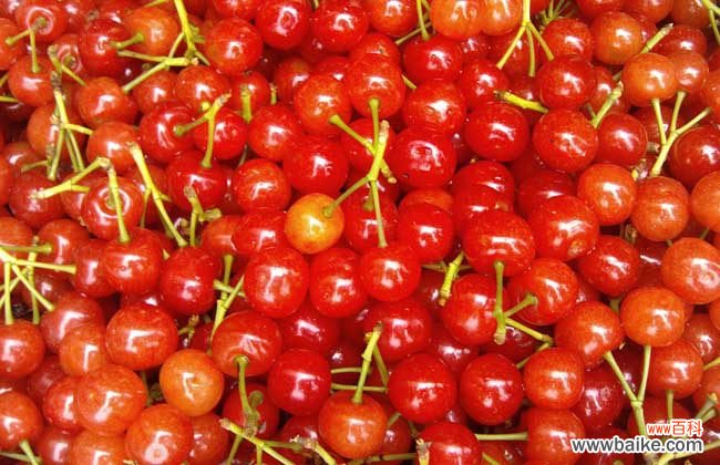 野樱桃吃多了会怎么样 樱桃吃多了会怎么样？