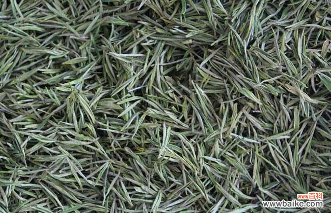福鼎老白茶怎么泡 福鼎白茶怎么冲泡?