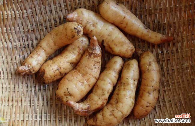 新鲜天麻坏了是什么样子 新鲜天麻怎么保存？