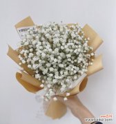 满天星花束的美丽与祝福 满天星花束的寓意与象征