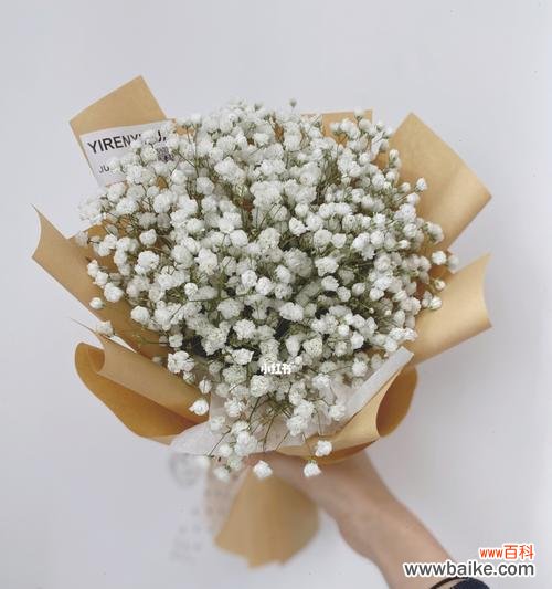 满天星花束的美丽与祝福 满天星花束的寓意与象征