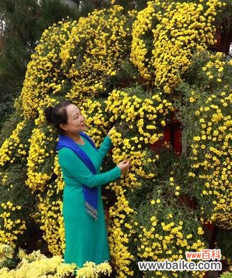 探寻秋季开放的美丽花朵,还原大自然的真实画卷 秋天的花开放名字大盘点