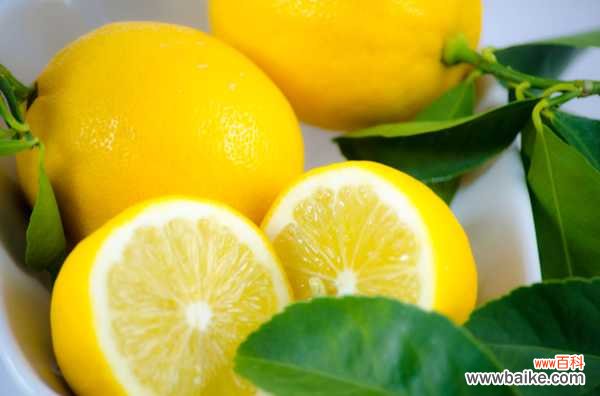 柠檬的病害及其防治