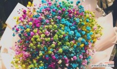 探秘满天星花的神奇力量与美丽寓意 满天星花的传说与花语