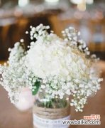 满天星花语的意义与寓意解读 满天星花语与寓意