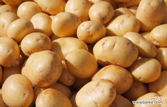 土豆敷脸能去痘印吗 土豆真的能去痘印吗？