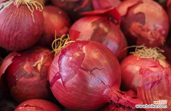 厨师怎么切洋葱不流泪 切洋葱不会流泪的方法