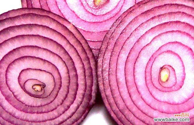 厨师怎么切洋葱不流泪 切洋葱不会流泪的方法